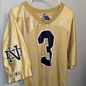 Notre Dame Champion Sports Jersey